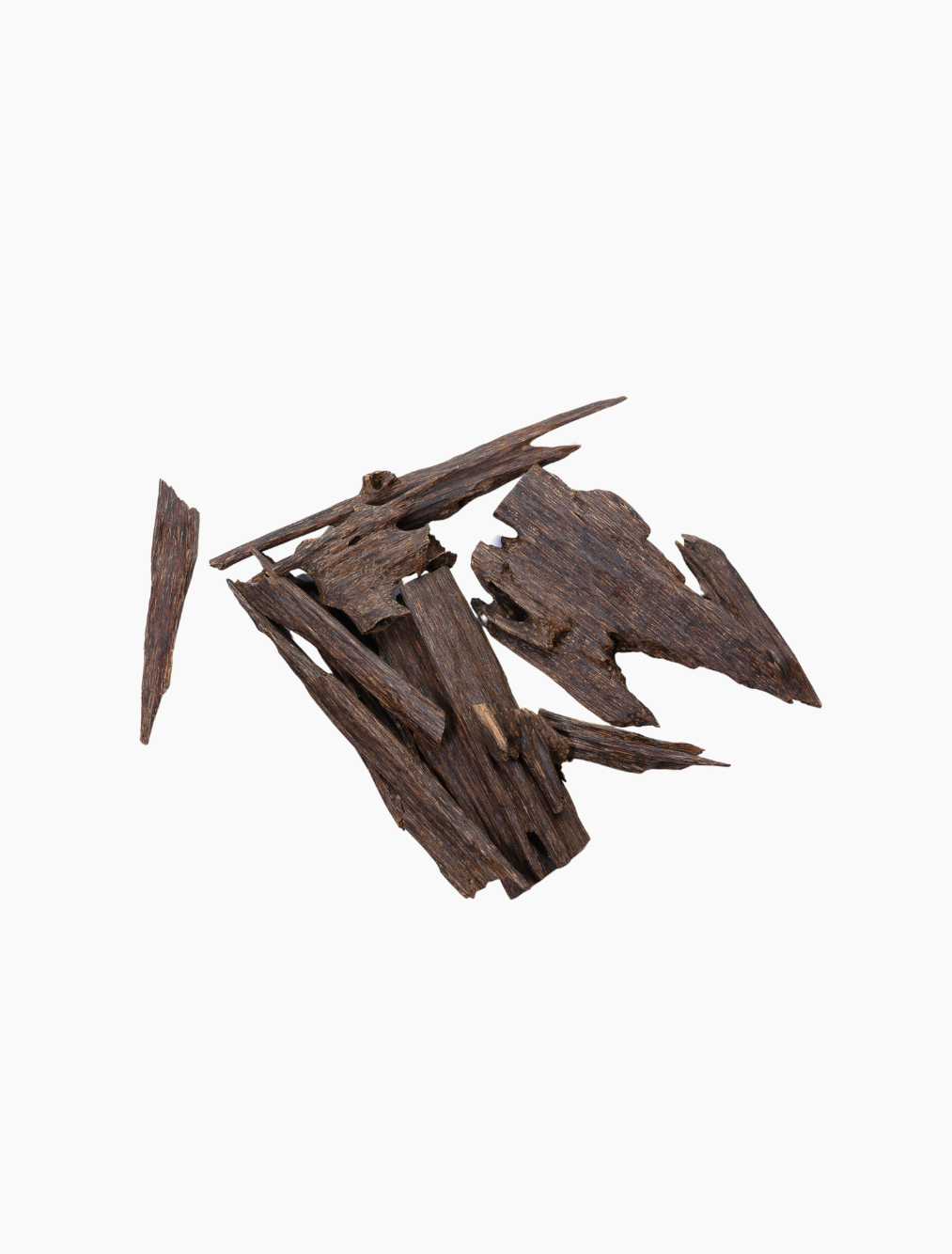 Oudh Yaumi
